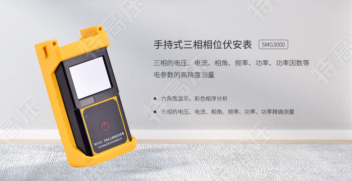 <strong>三相相位伏安表</strong>