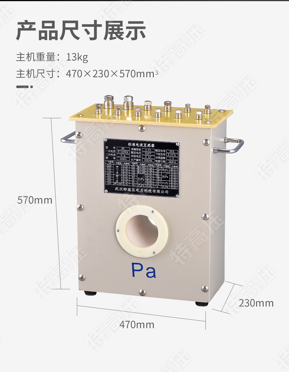 标准电流互感器