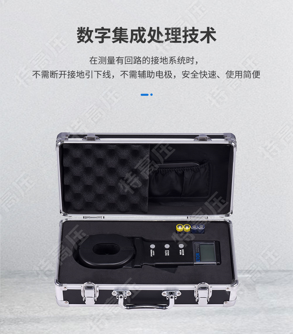 ETCR2000 钳形接地电阻测试仪(图2) 钳形接地电阻测量仪