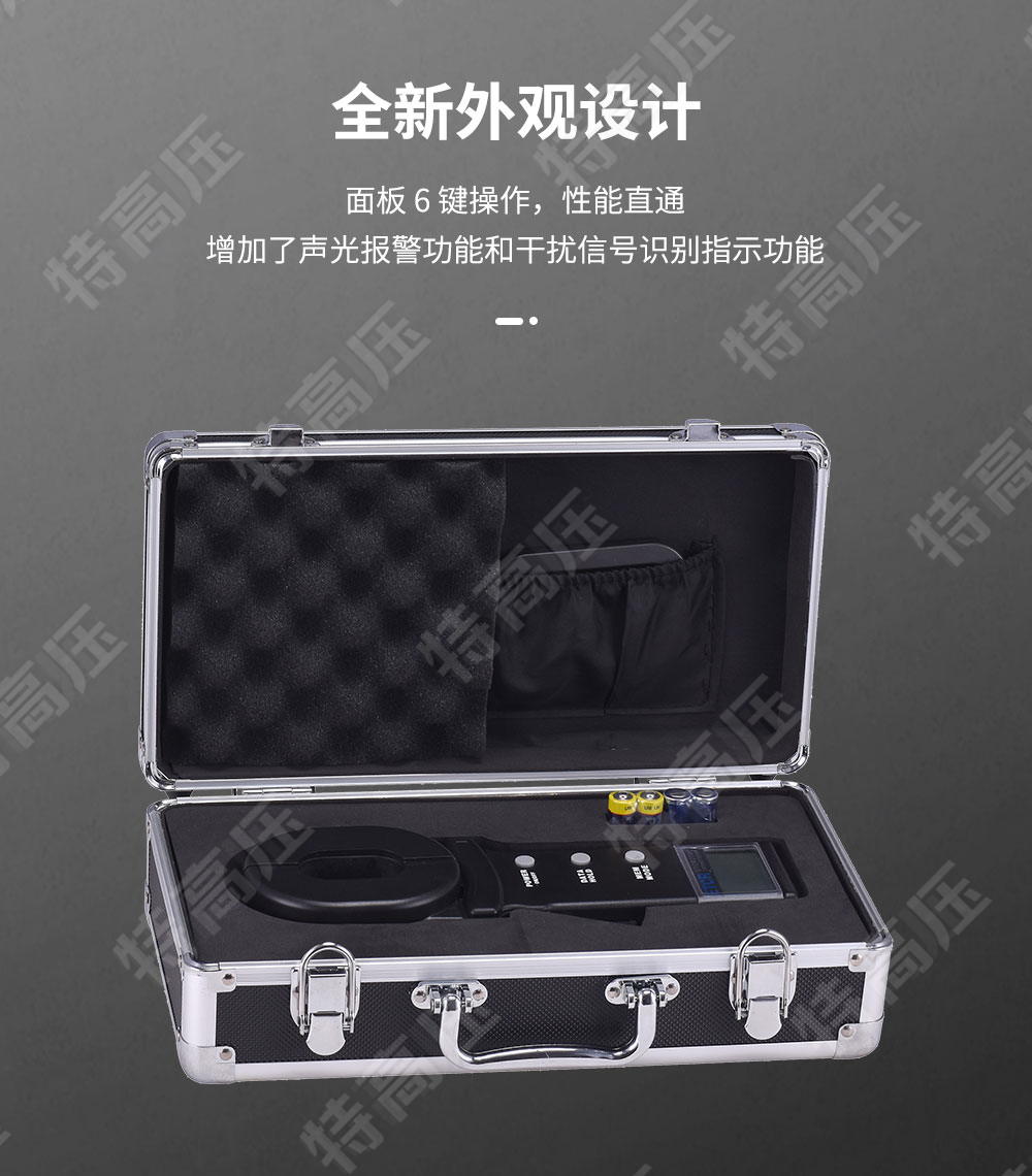 ETCR2000 钳形接地电阻测试仪(图3) 钳形接地电阻测量仪