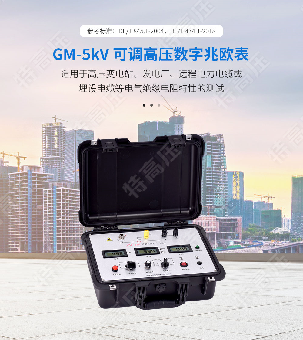 GM-5kV 可调高压数字兆欧表(图1)