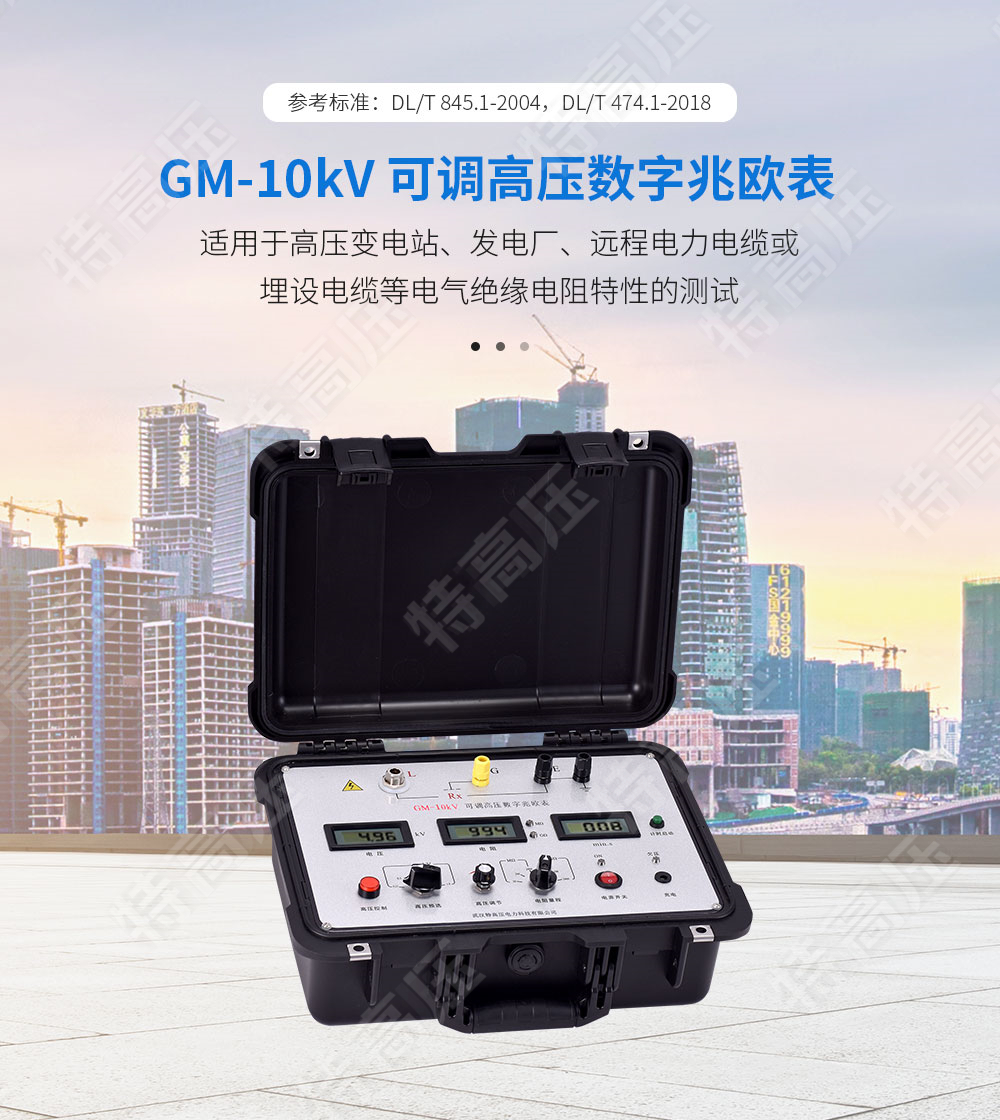 GM-10kV 可调高压数字兆欧表(图1)