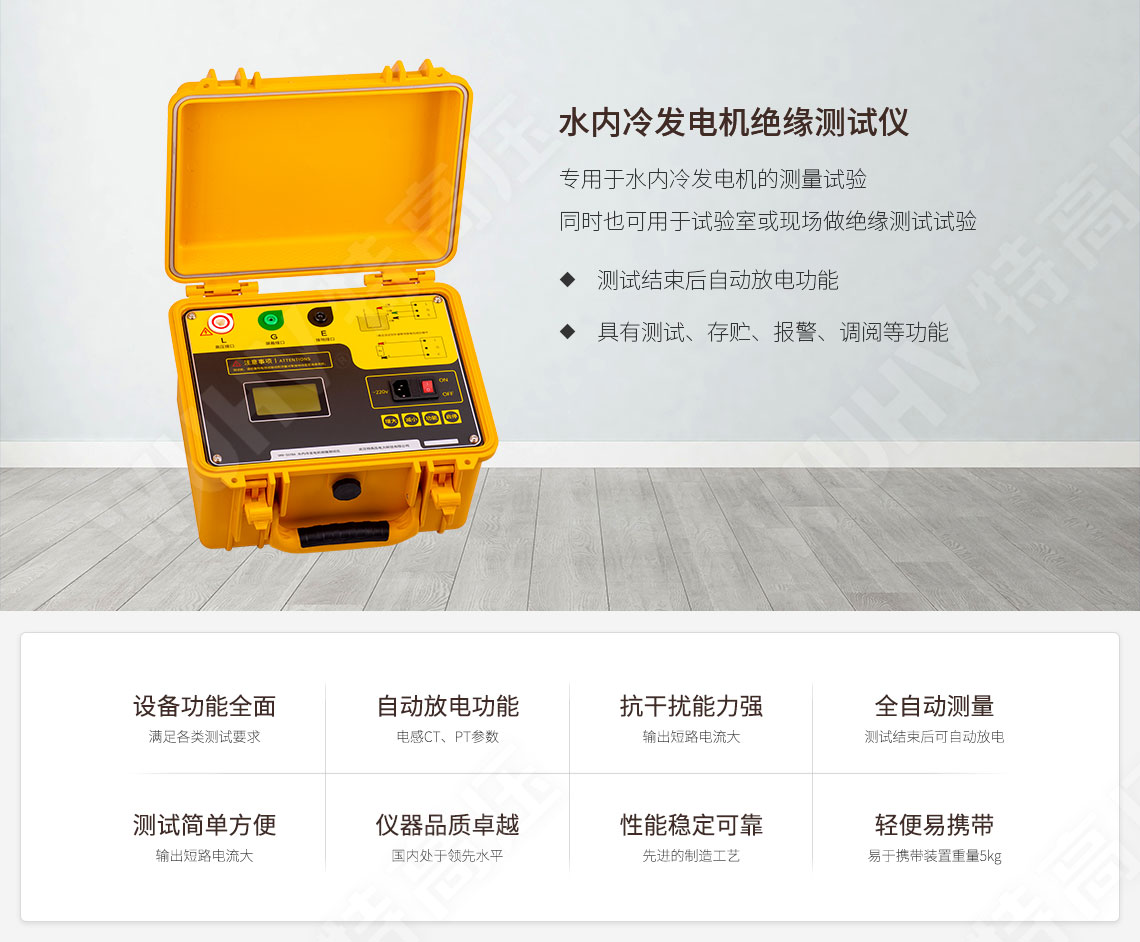 HT2678A <strong><strong>水內冷發電機絕緣測試儀</strong></strong>(圖1)
