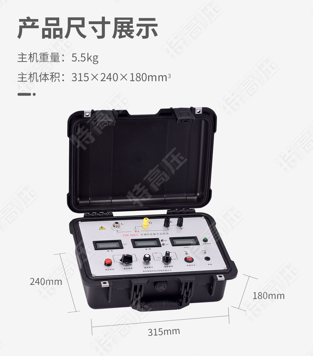 GM-20kV 可调高压数字兆欧表(图5) 绝缘兆欧表